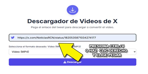 Pega el enlace en el descargador